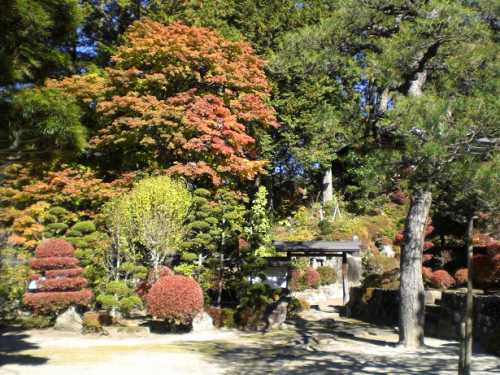 妙覚寺(みょうかくじ)