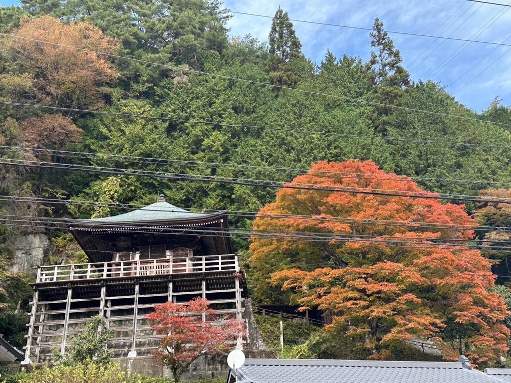 紅葉情報-2025 | 大桑村公式サイト