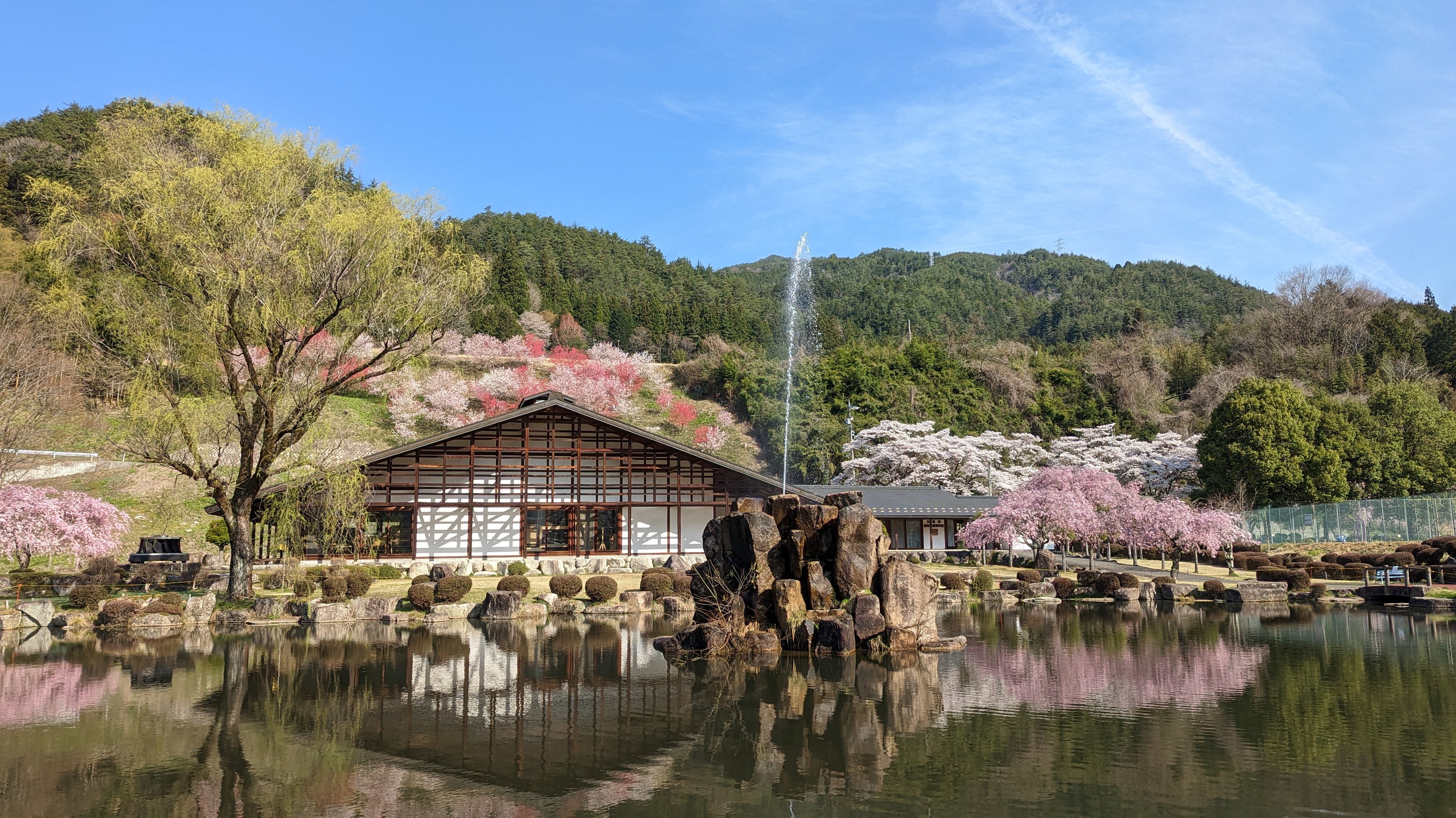 歴史民俗資料館全景