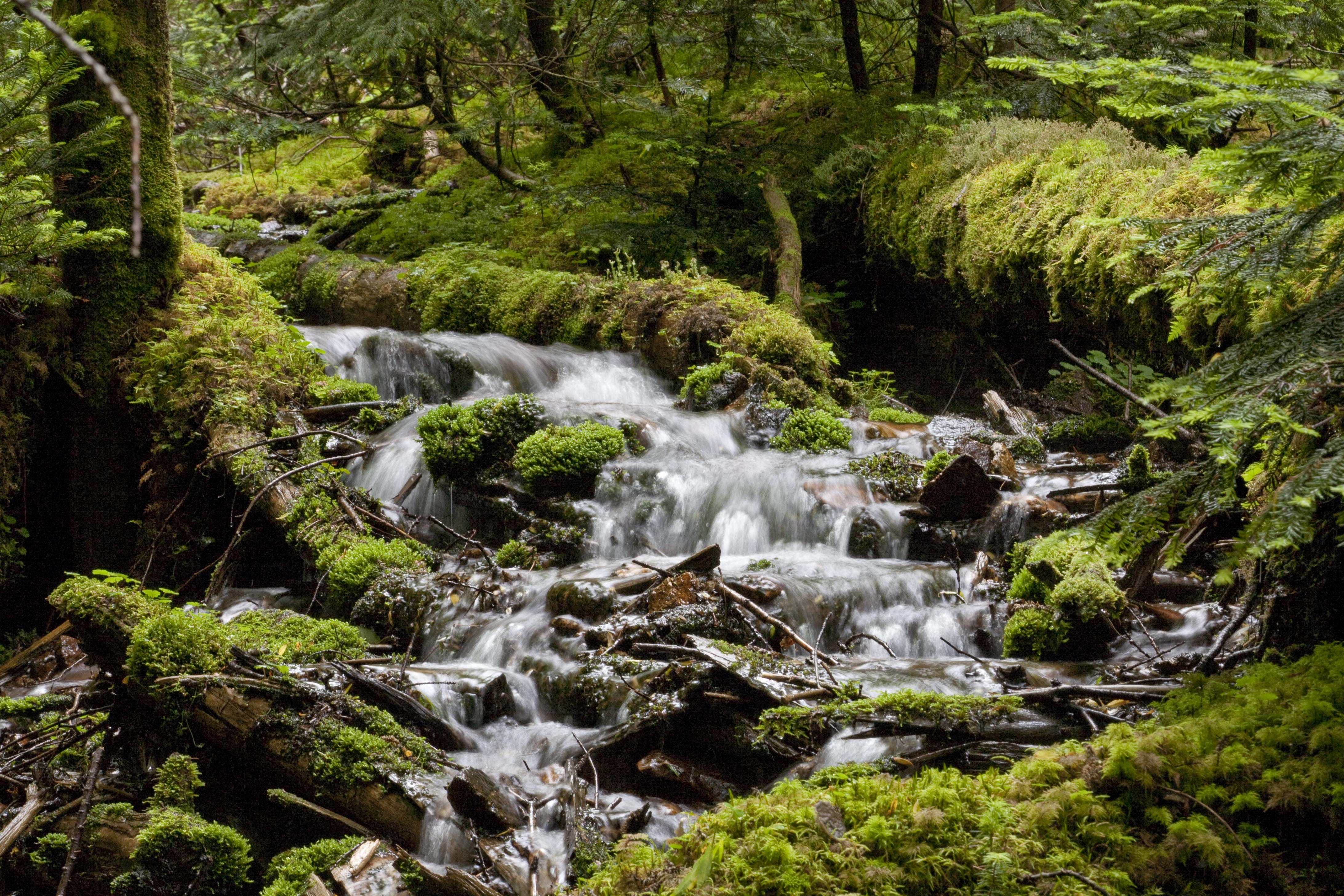 川上村 千曲川源流
